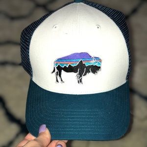 Patagonia hat!